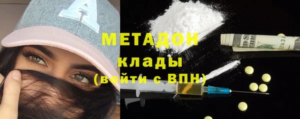 прущие грибы Абаза