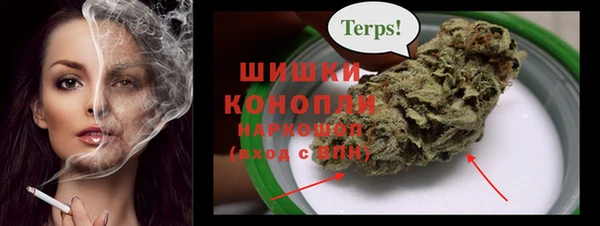 a pvp Карпинск