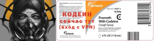 прущие грибы Абаза
