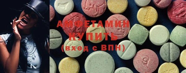 прущие грибы Абаза