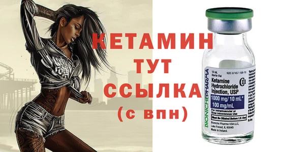прущие грибы Абаза