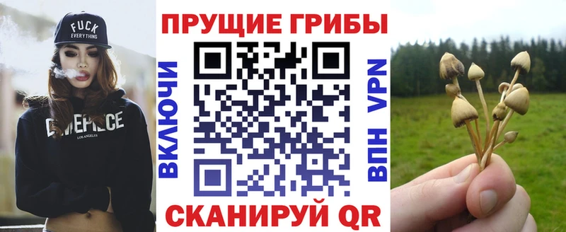 Галлюциногенные грибы ЛСД Златоуст