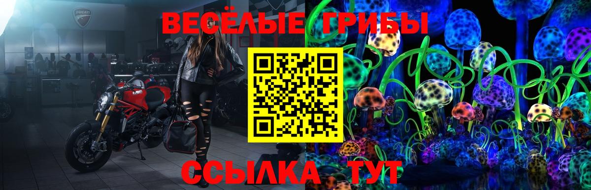 купить наркотики цена  Вход с VPN  Златоуст  Галлюциногенные грибы GOLDEN TEACHER 
